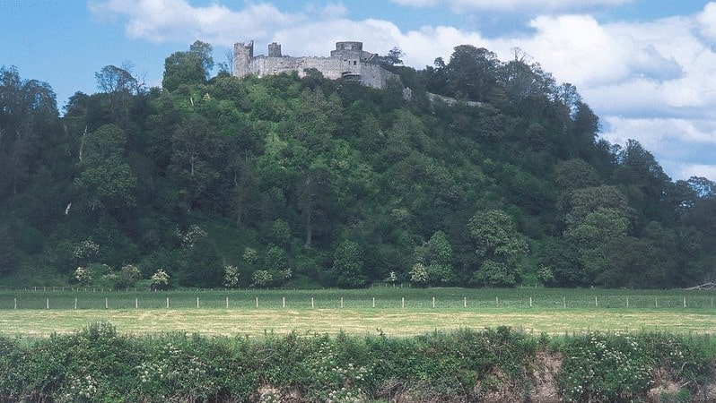 Dinefwr Castle